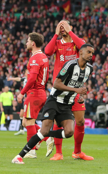 鹿主帅迈克 鹿主帅迈克