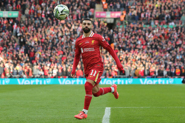 唐纳鲁马不 唐纳鲁马不